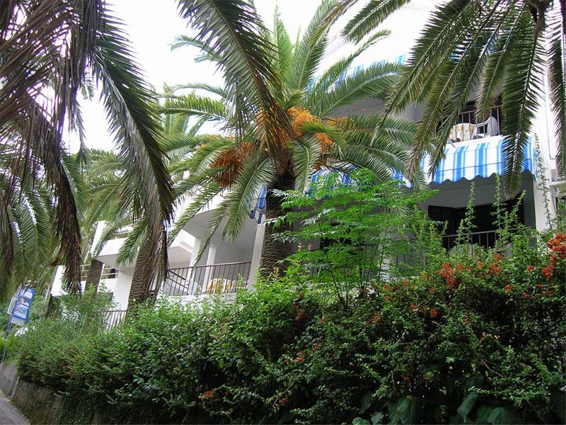 Apartmani I Sobe Goca Herceg Novi Bagian luar foto