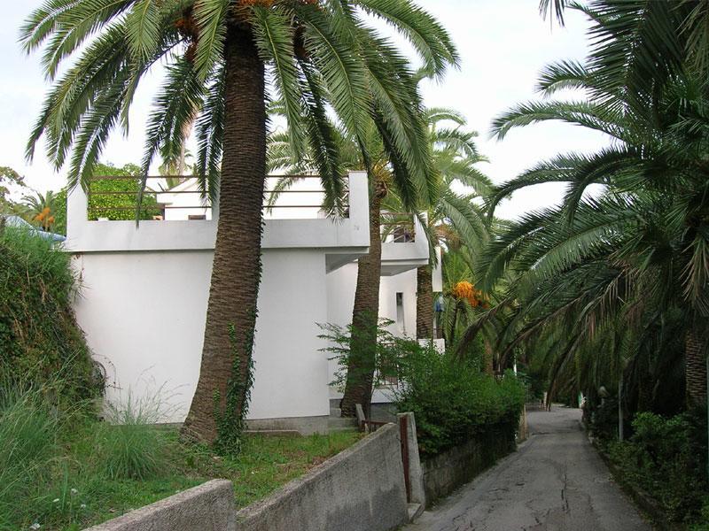 Apartmani I Sobe Goca Herceg Novi Bagian luar foto
