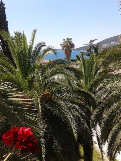 Apartmani I Sobe Goca Herceg Novi Bagian luar foto